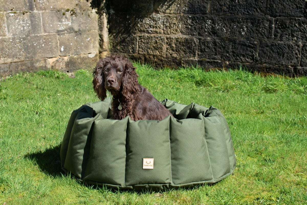 Ultimate Waterproof Den Dog Bed Forest & Fell Country Home Furnishings