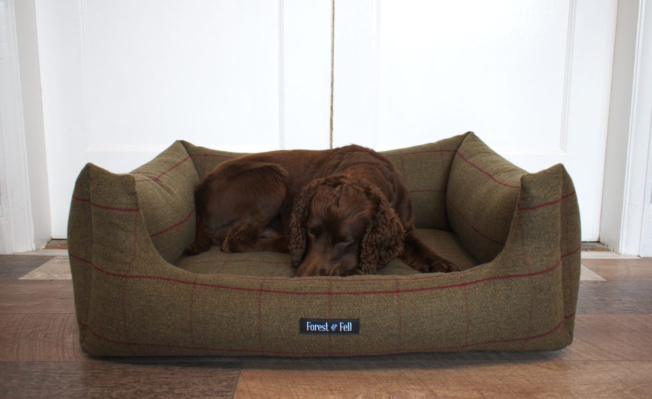 Joules tweed dog bed best sale